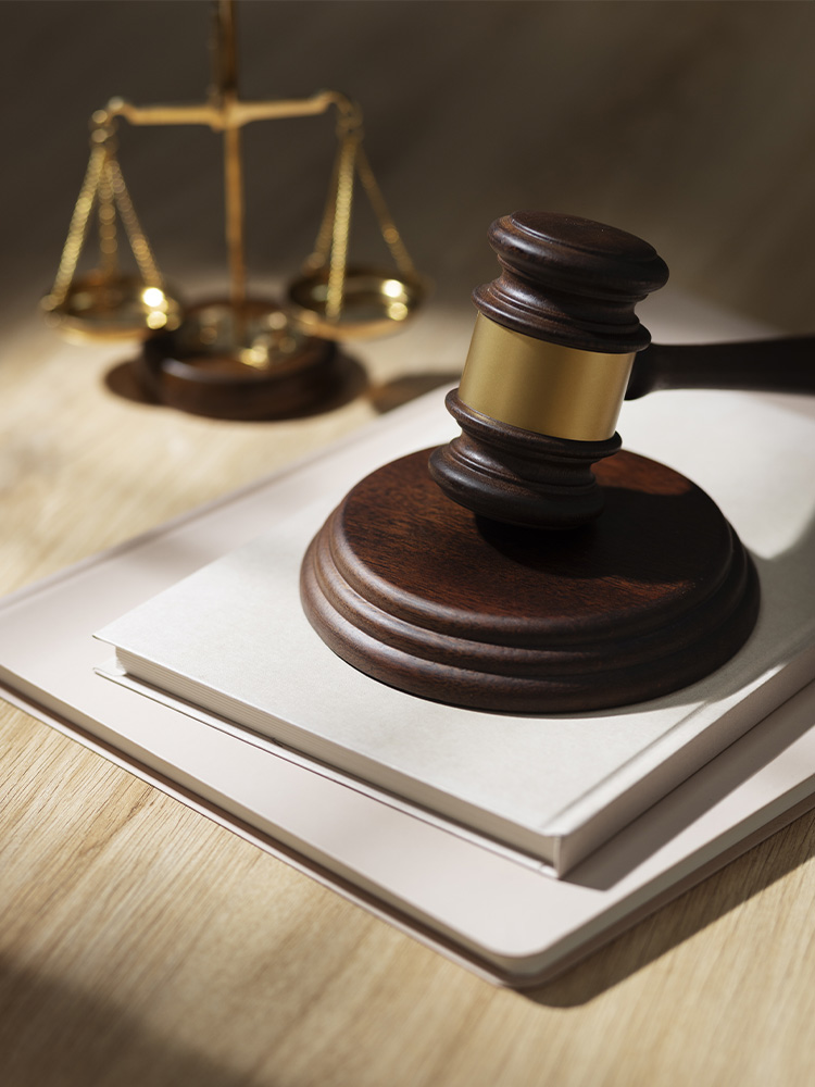 Conseil juridique et fiscal Monténégro